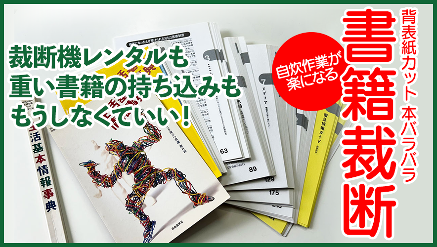 【裁断済】★美品　ビジネス・自己啓発・投資　まとめ売り書店平積み書籍【自炊用】 裁断済書籍】株はずっと上がるもの 誰も書けなかった株式投資の真実